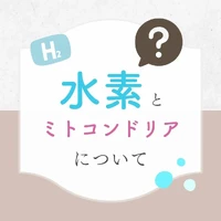 画像316
