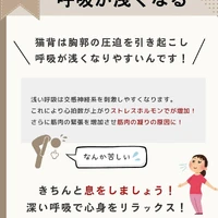 画像357